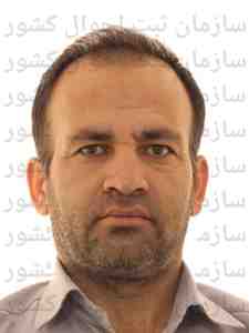 محسن حسین زاده